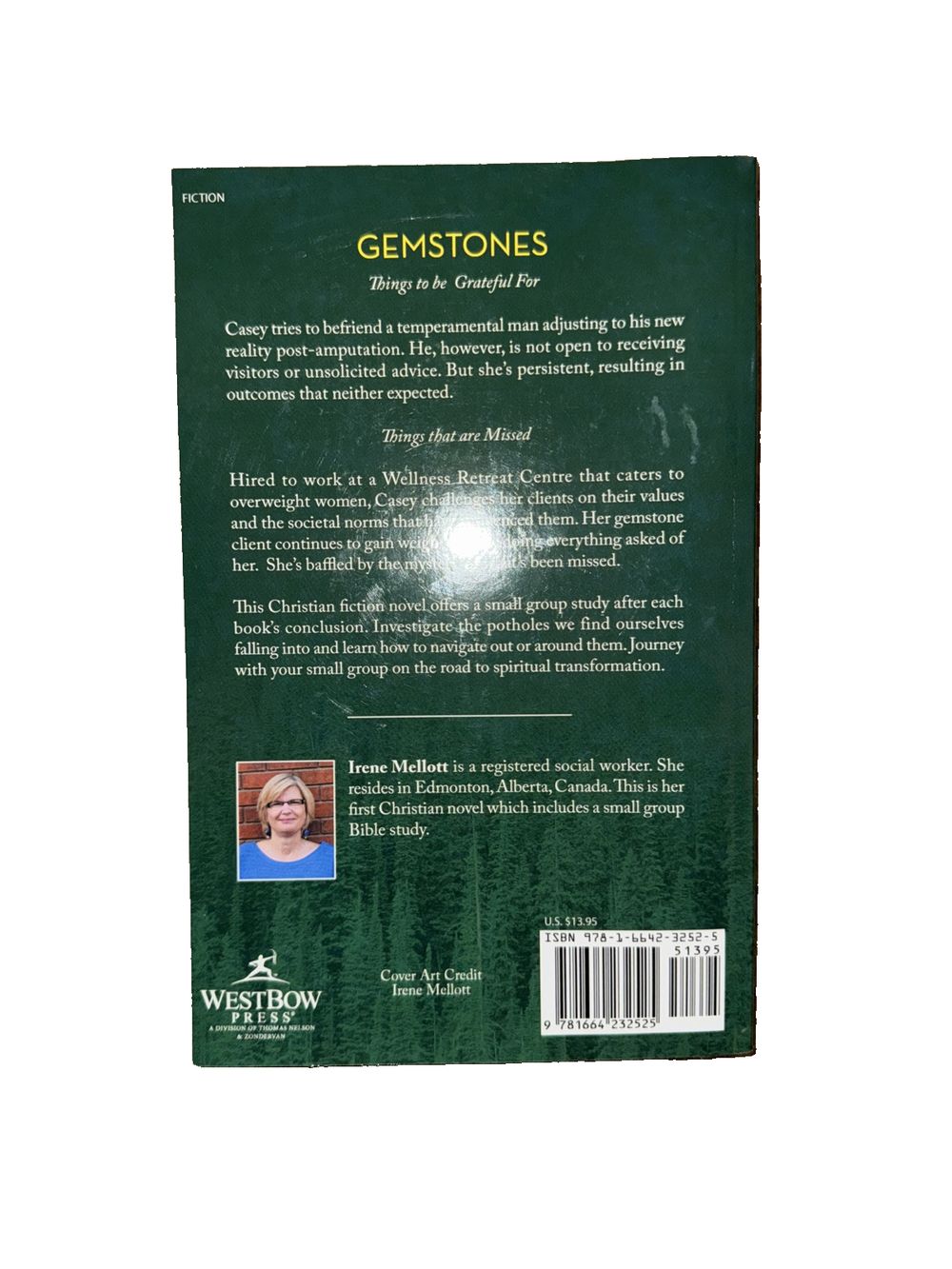 Gemstones: Things to Be Grateful for & Things That Are Missed, DaveyDooDeals – the book cover for gemstones