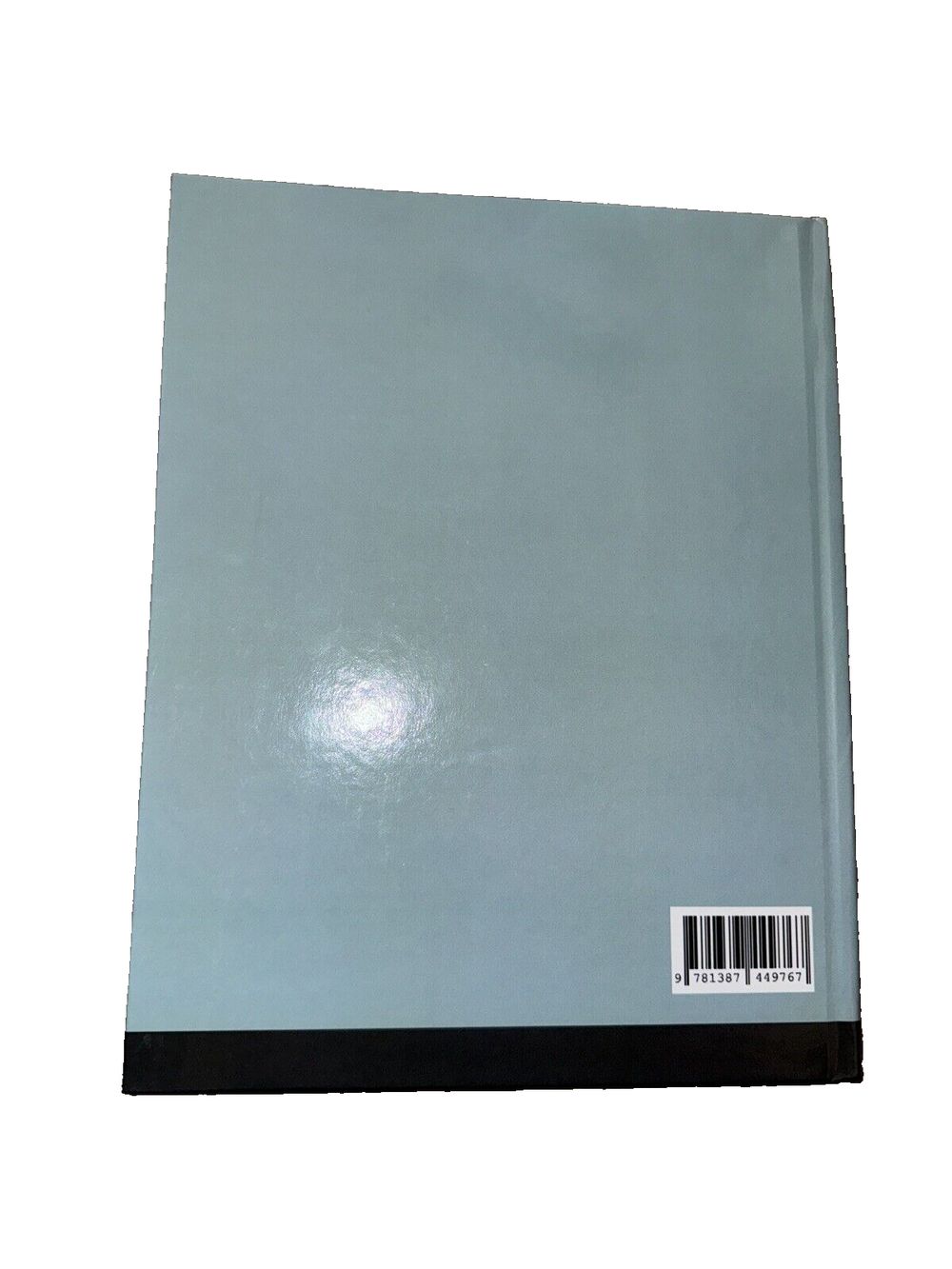 Rayne the Raccoon Goes To the Zoo, DaveyDooDeals – a4 grey notebook with black binding