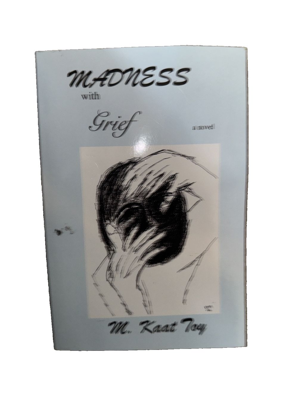 Madness with Grief, DaveyDooDeals – the cover of the book, ' meds with fire '