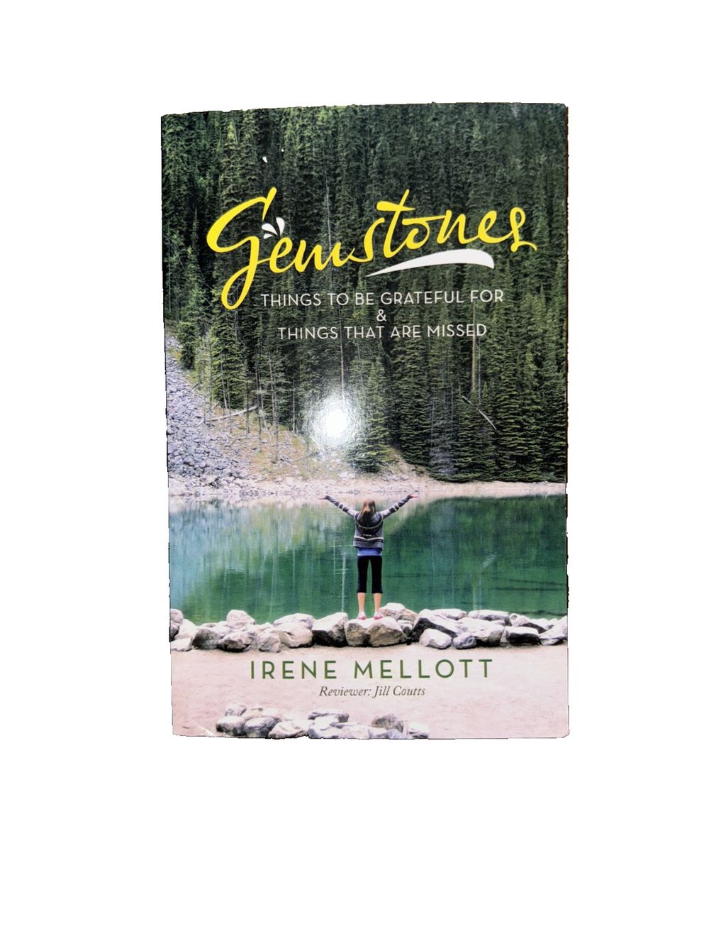 Gemstones: Things to Be Grateful for & Things That Are Missed, DaveyDooDeals – the cover of the book, ' cene '