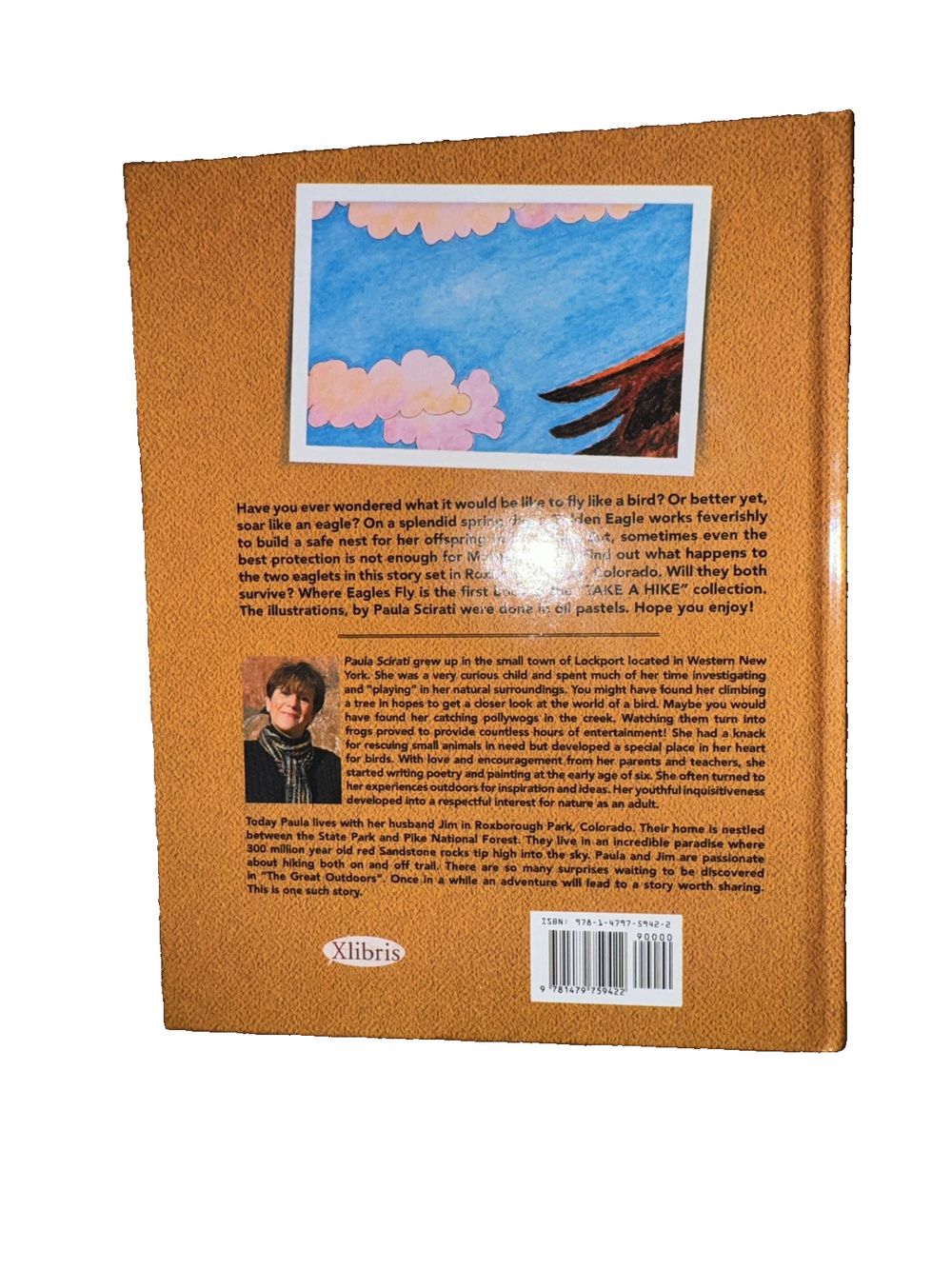 Where Eagles Fly By Paula Scirati, DaveyDooDeals – the book cover for the book, with a picture of a bird flying in the sky