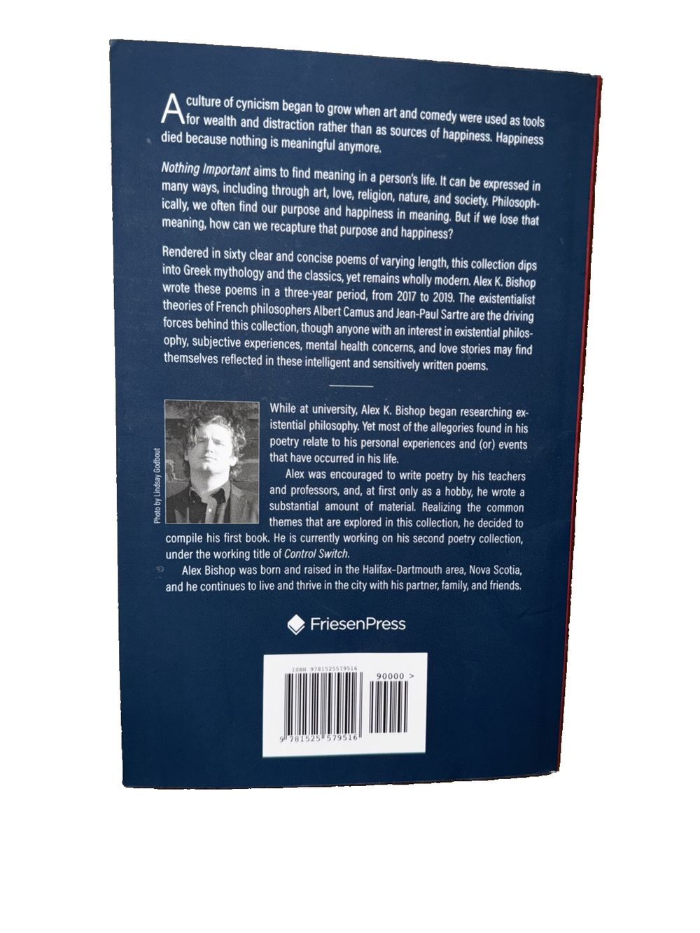 Nothing Important: Allegorical Poems in the Pursuit of Meaning (a collection of, DaveyDooDeals – the book cover for the book, with a photo…