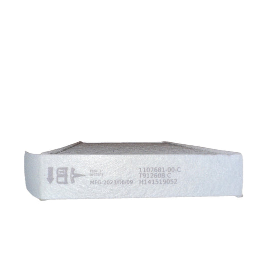 Tesla 1107681-00-C Model 3/Y Air Filter