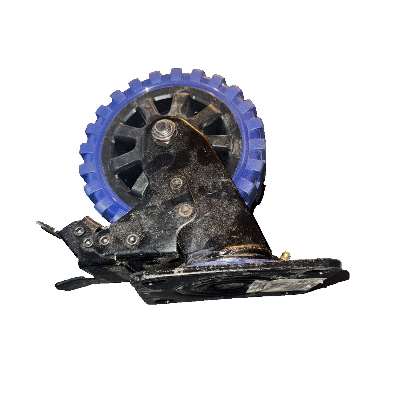 8689 6" Bk/Bl Swivel W/Brake C Shepherd
