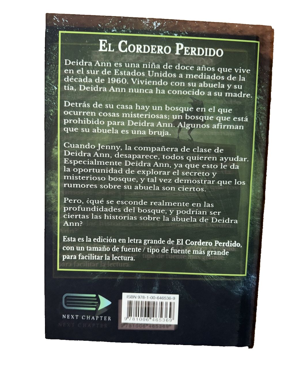 El Cordero Perdido (Las Aventuras De Deidra Ann Libro 1), DaveyDooDeals – the book cover for el cordo