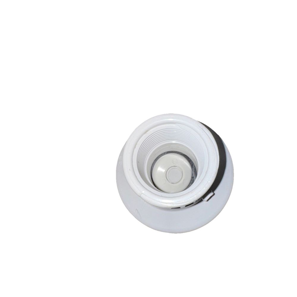 1" PVC Utility Swing Check Valve, Threaded, EPDM, S1520-10F, DaveyDooDeals – a white light bulb with a white light bulb