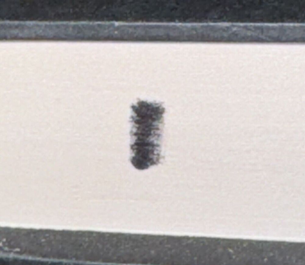 One of Us Is Back (ONE OF US IS LYING), DaveyDooDeals – a black bug crawling on a white wall