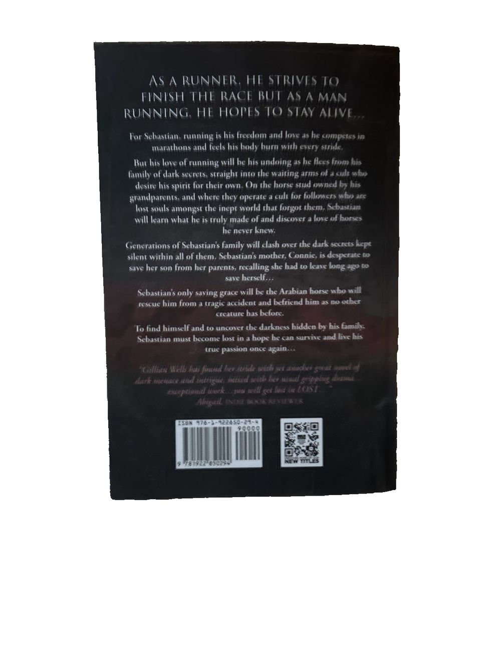 Lost by Gillian Wells, DaveyDooDeals – the back cover of the book, featuring a black background and a white background
