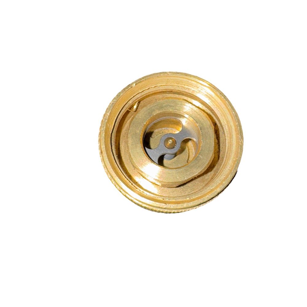 ME570 (Marshall Excelsior) Adapter-Hose End Sgl Pc 1-3/4Fx1-3/4M Ac – a brass plated button with a hole