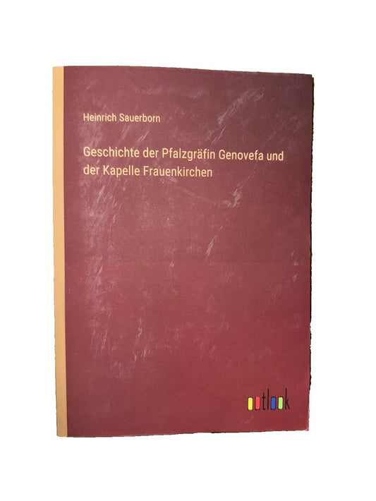 Geschichte der Pfalzgrfin Genovefa und der Kapelle Frauenkirchen, DaveyDooDeals – the cover of the book, ' gesche derzin gevol '