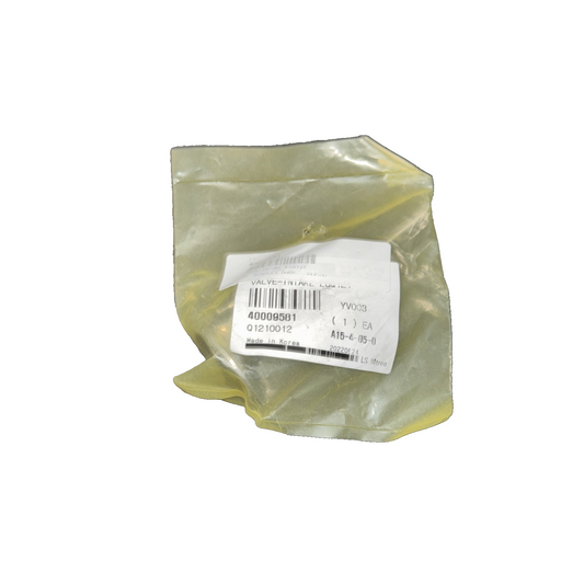 LS MTron Intake Valve 40009581