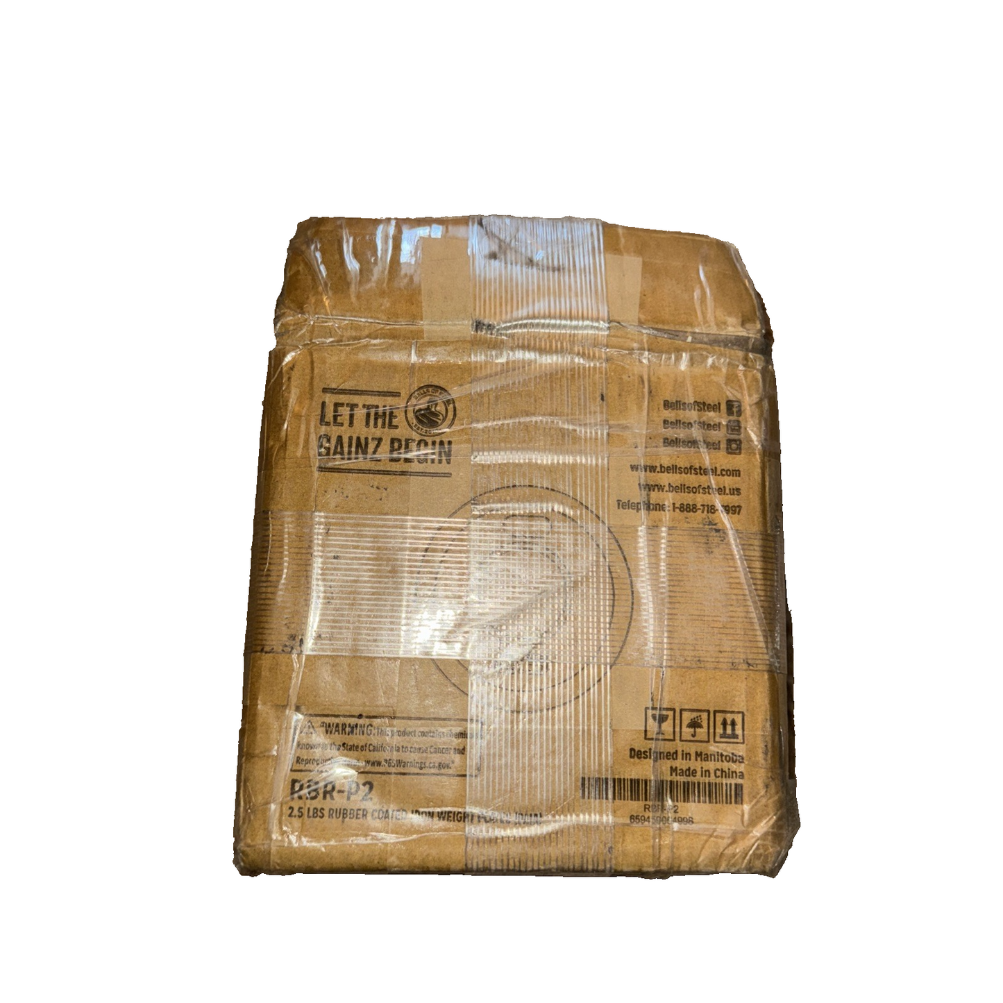 RBR-P2 2.5Lbs Rubber Coated Iron Weight Plates 2 Pack