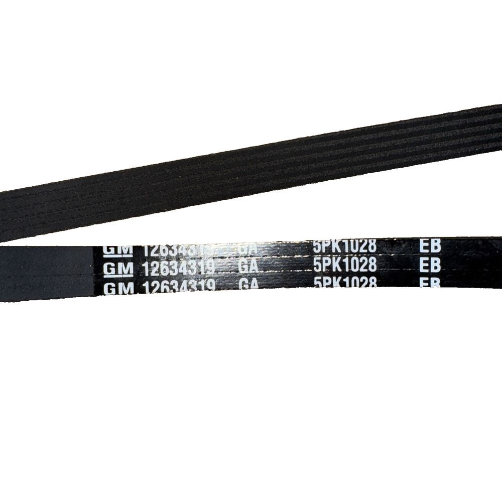 ACDelco GM Original Equipment V-Ribbed Serpentine Belt 12634319 – a black belt with a white background