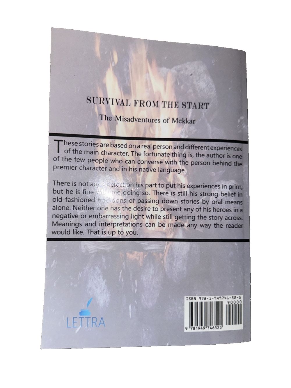 Survival From The Start: The Misadventures of Mekkr, DaveyDooDeals – the book cover for survival of the fire