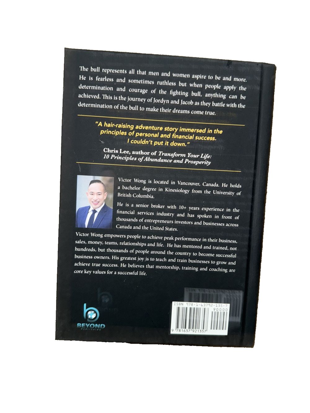 Fortune Favors the Bull, DaveyDooDeals – the book cover for the book, the book of the year