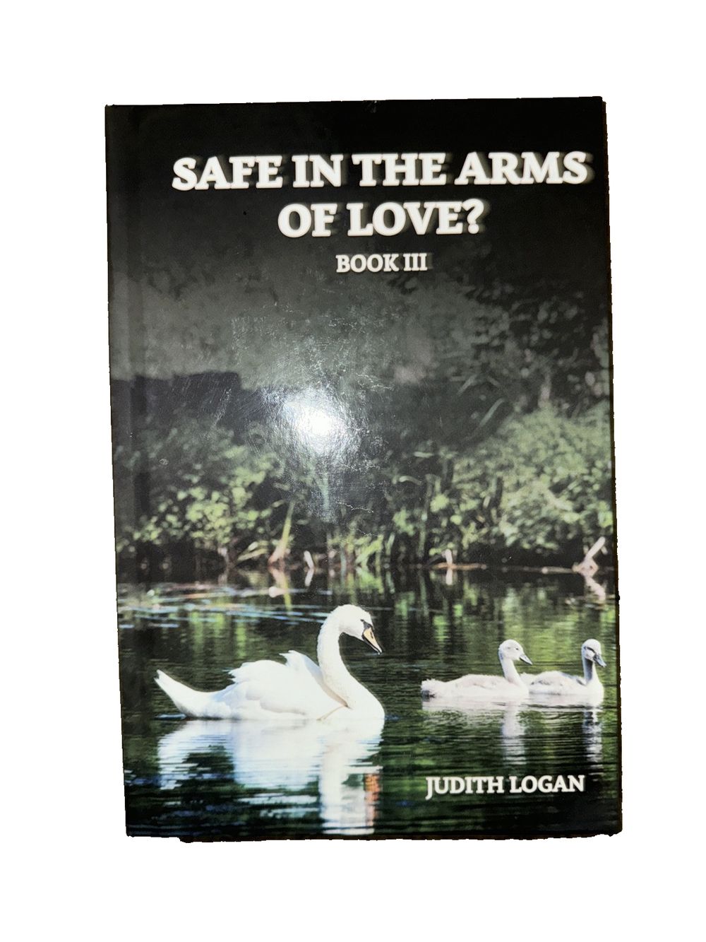 Safe in the Arms of Love, DaveyDooDeals – the book cover for safe in the arms of love