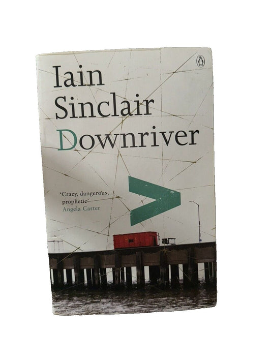 Downriver Iain Sinclair PaperBack, DaveyDooDeals – the cover of the book, the end of the pier