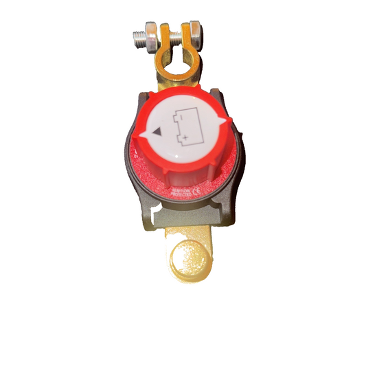 Battery disconnect switch