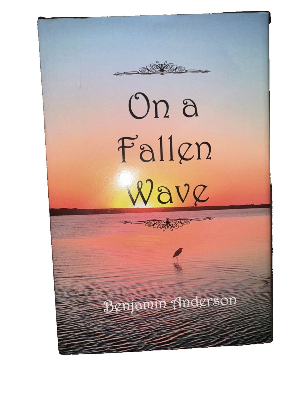 On a Fallen Wave, DaveyDooDeals – on a fall way by benjamin hudson