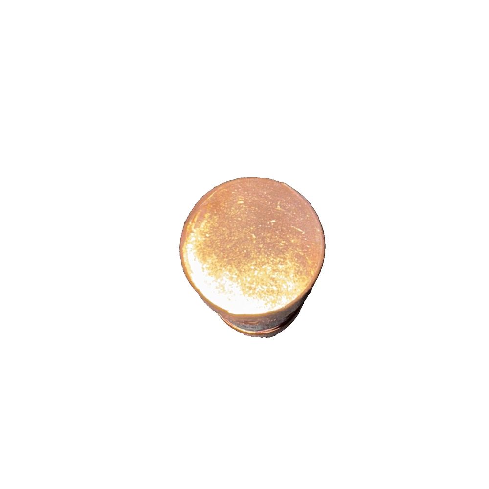 AJT50 Mersen Smart Spot Industrial Fuse, Ferraz Shawmut – a gold colored button with a white background