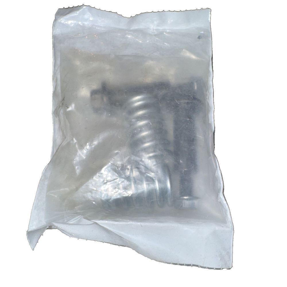 ANSA Exhaust Bolt and Spring Kit ANA HW499999 – a bag of silver foil