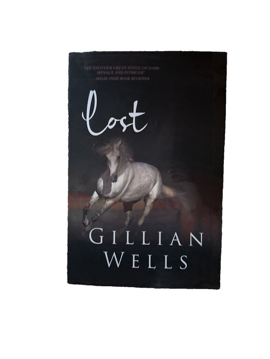 Lost by Gillian Wells, DaveyDooDeals – the cover of the book lost by gillian grant