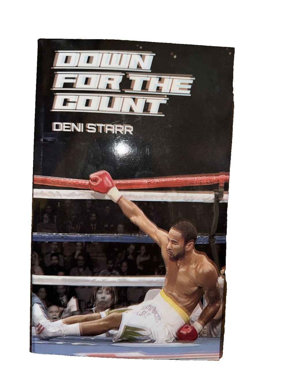Down for the Count, DaveyDooDeals – the cover of the book, the fight of the century