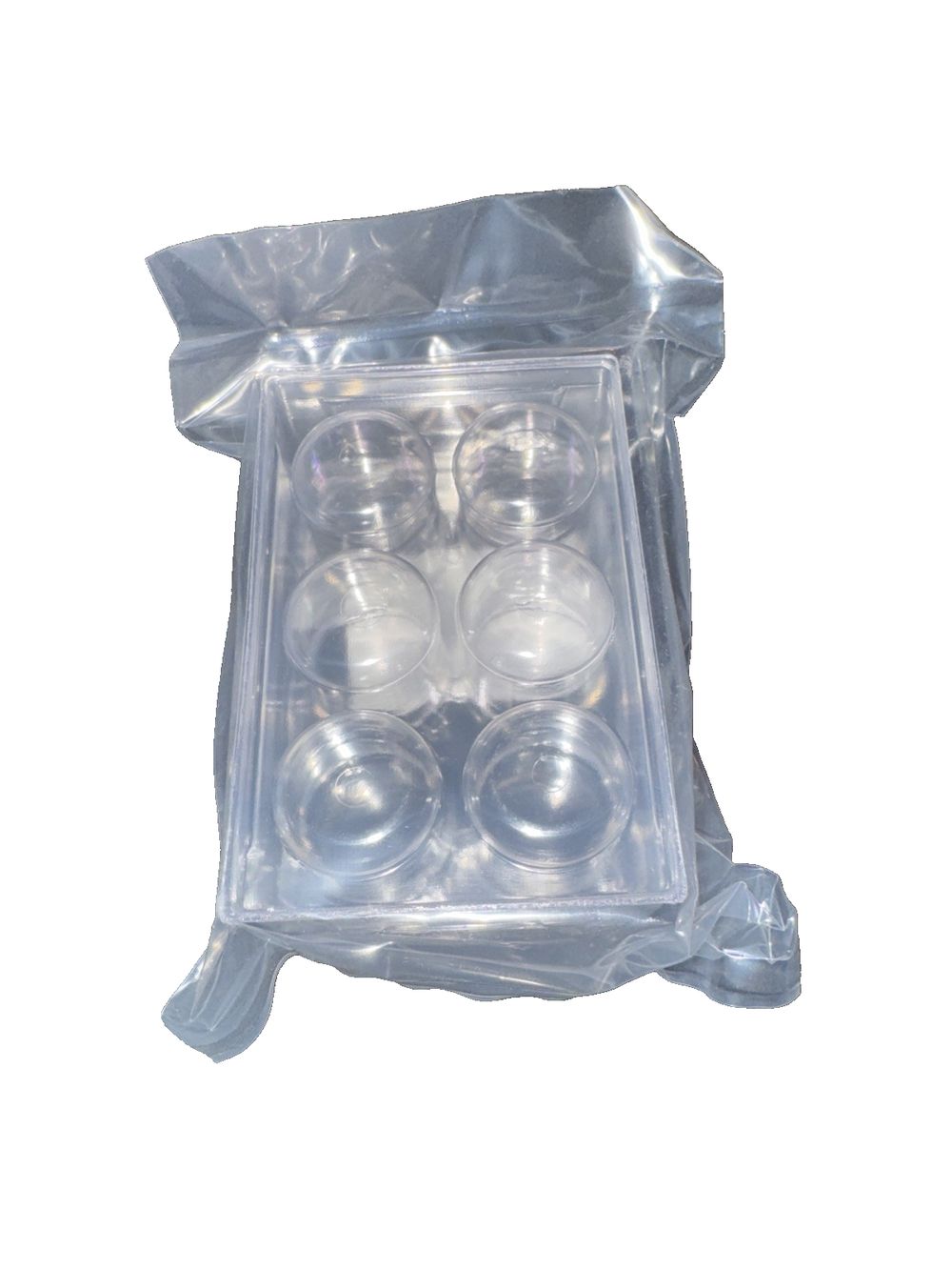 THINCERT PLATE, 6 WELL, PS, LID, STERILE,', DaveyDooDeals – a clear plastic bag with six clear plastic cups