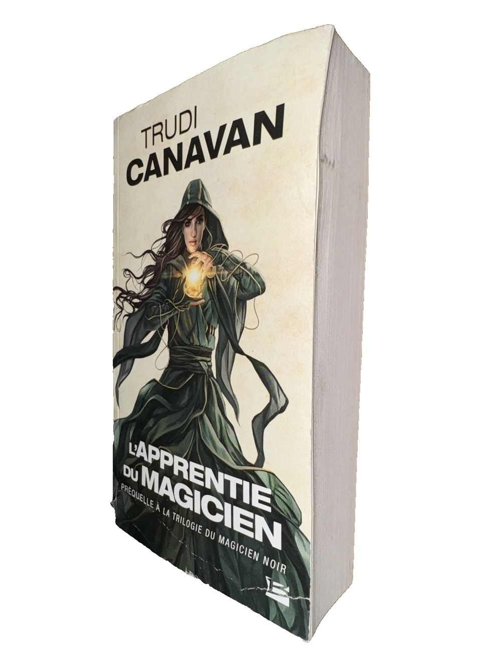 APPRENTIE DU MAGICIEN (L') : PRQUELLE LA TRILOGIE DU MAGICIEN NOIR, DaveyDooDeals – the cover of the book, with a woman in a long dress hol…