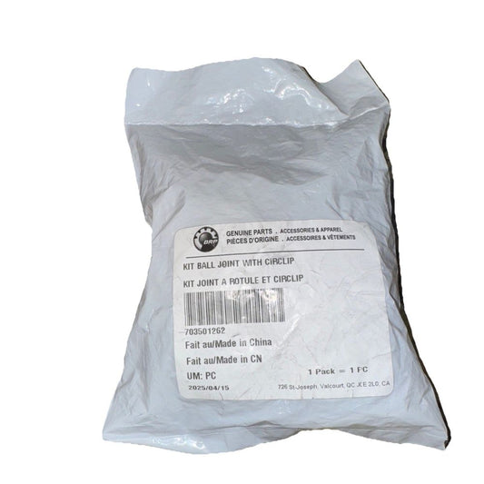 Can - Am Ball Joint Lower 706202045 / 703501262, BRP – a bag of white powder