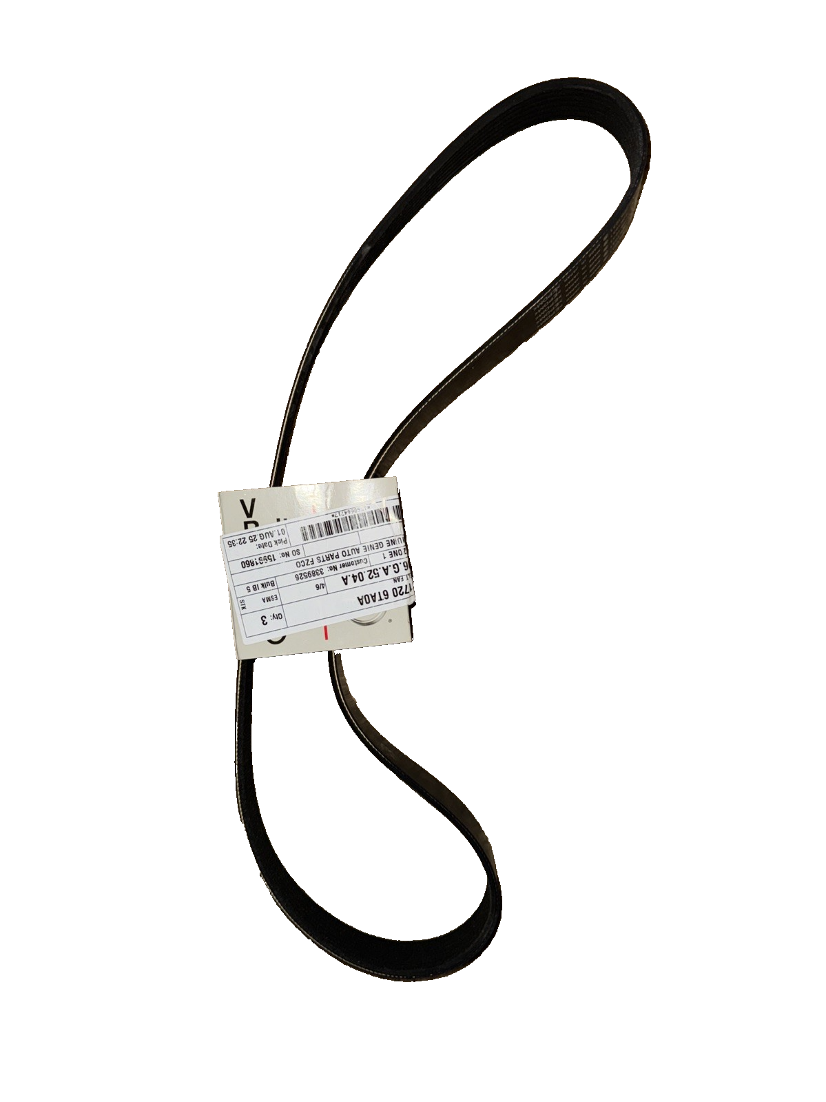 Serpentine Belt - Nissan (117206TA0A)