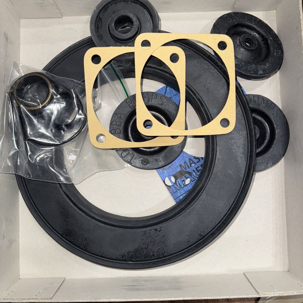BPA Pumps 3655204410SP MP50 Service Kit – a box with a couple of exhaust kits and a pair of exhaust kits