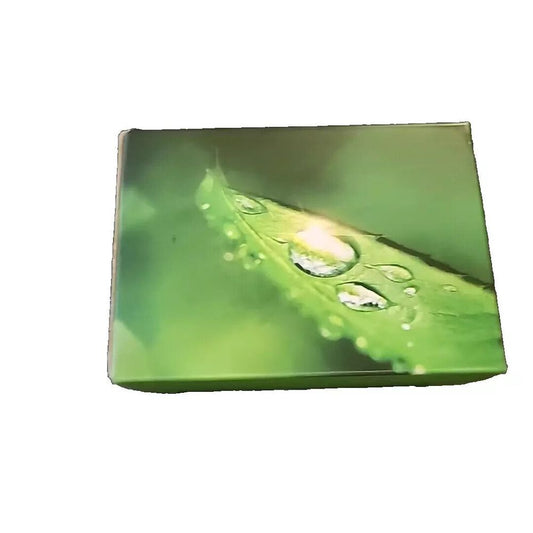 902XL Ink Cartridges Combo Pack Compatible for HP 902 XL, High Yield, Black, Unbranded – a green leaf with water droplets on it