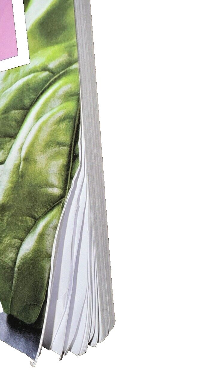 Recetas de la Tradicion Italiana 2022: Autenticas Recetas Regionales Para Princi, DaveyDooDeals – a book with a green leaf on it